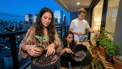 Como plantar brócolis em casa e colher cabeças firmes com sol, espaço e clima certo