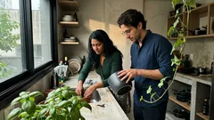 5 plantas de interior fáceis de cuidar que deixam a casa mais leve e acolhedora